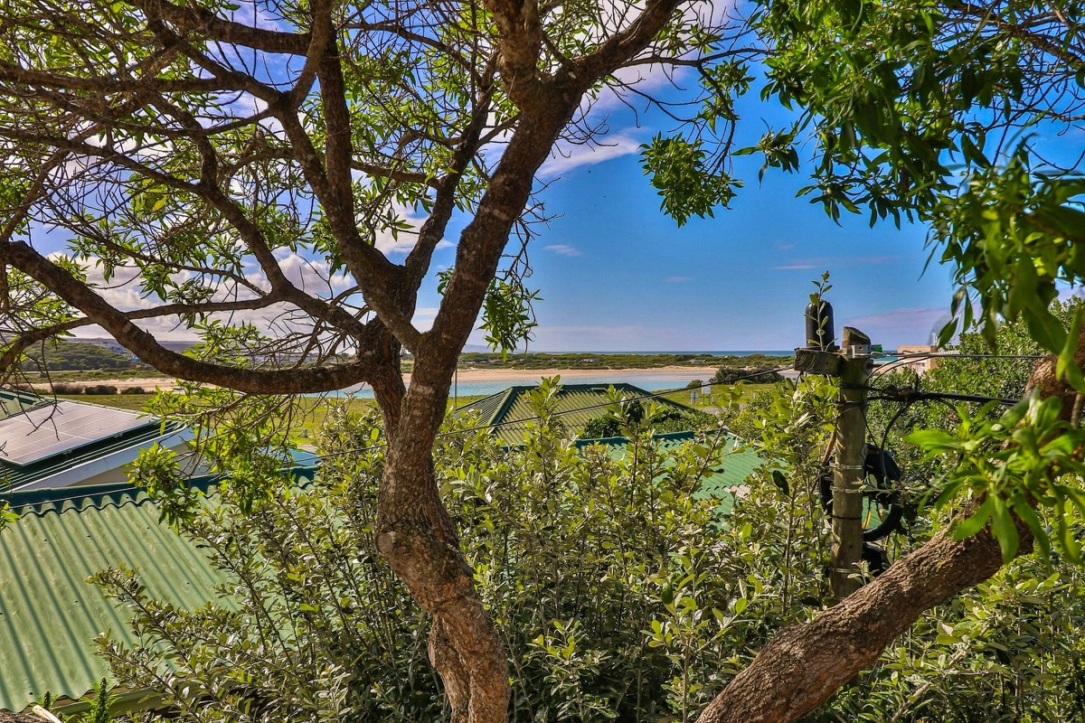 See-uitsig vanaf White Penguin