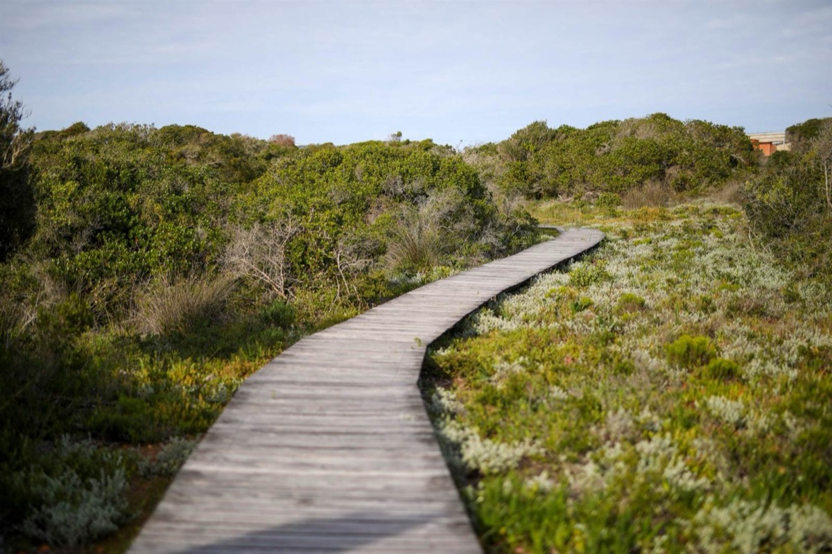 Strandstappie naby Stilbaai