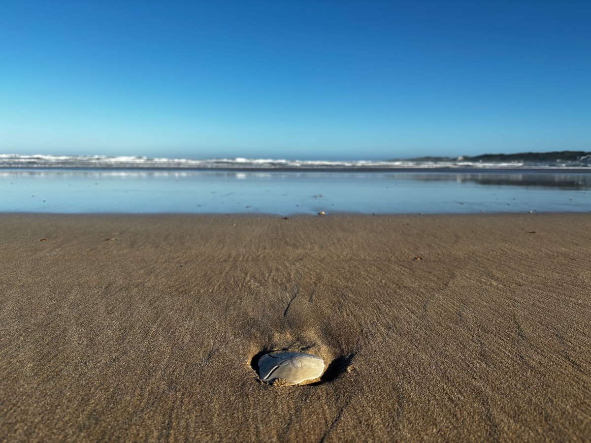Lappiesbaai-getypoel Stilbaai